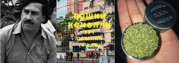 твердый Нефтегорск