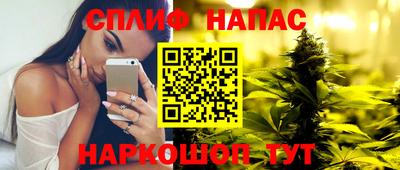дмт Тверь