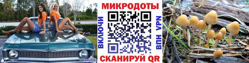 MEGA ссылки  Родники  Псилоцибиновые грибы мухоморы  купить наркоту 