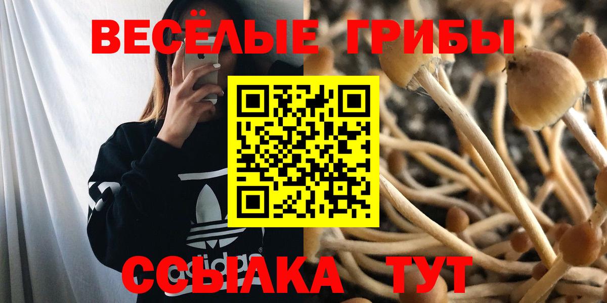 Псилоцибиновые грибы мухоморы  Вход с VPN  Родники 